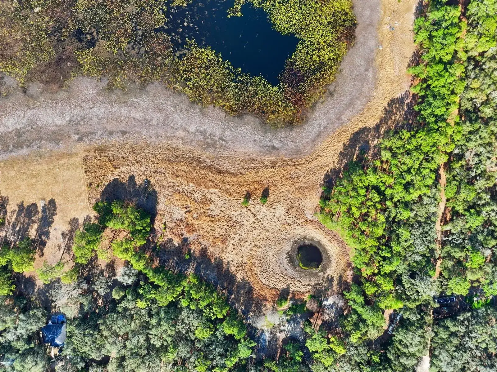 0 Windy Hills Rd, FL 32640 photo 5