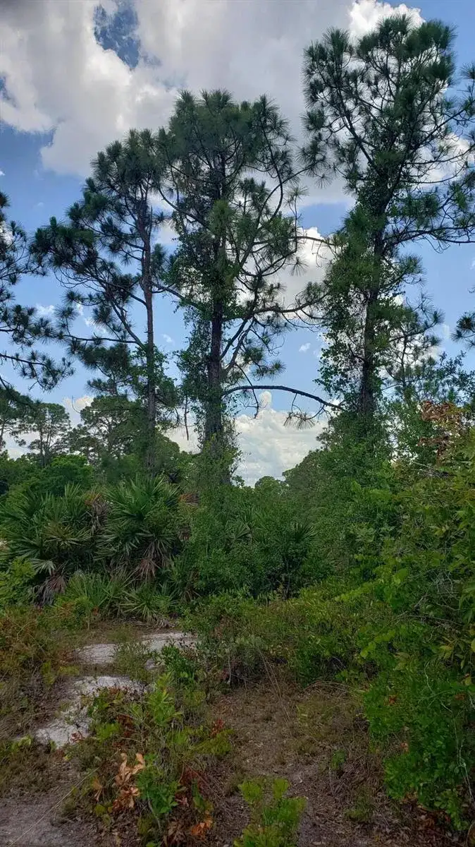 932 Island Parkway NE, Lake Placid FL 33852 photo 4