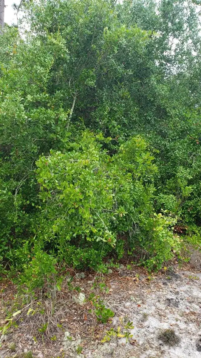 932 Island Parkway NE, Lake Placid FL 33852 photo 5