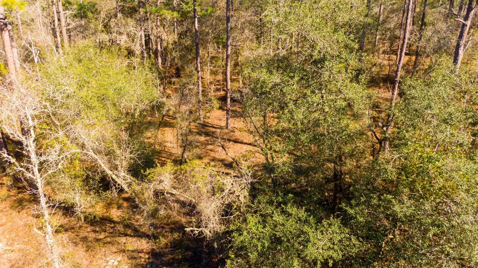 0000 SW Commodore Road, FL 34431 photo 3