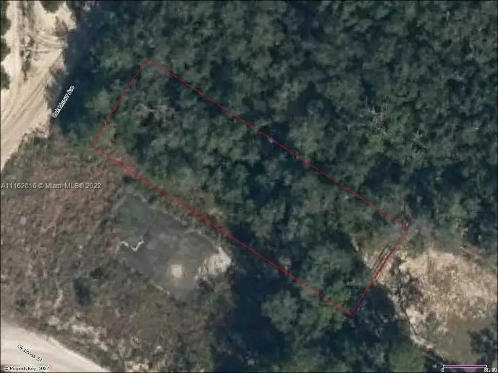 Land/Boat Docks for sale at 5832 Oak Manor Ave, Sebring FL 33876