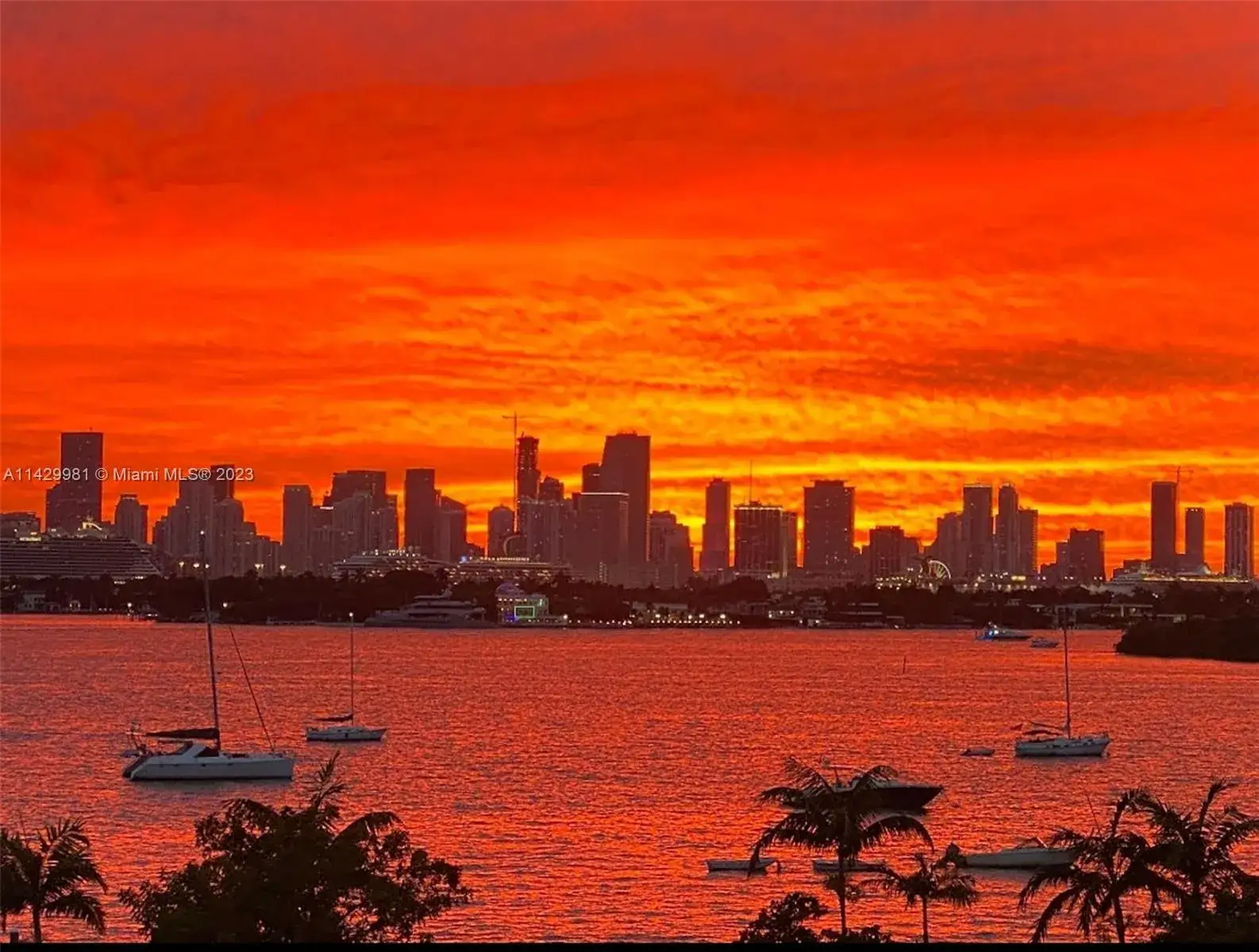 1 bedroom 1 bath Residential Lease for rent at 1500 Bay Rd # 818S, Miami Beach FL 33139