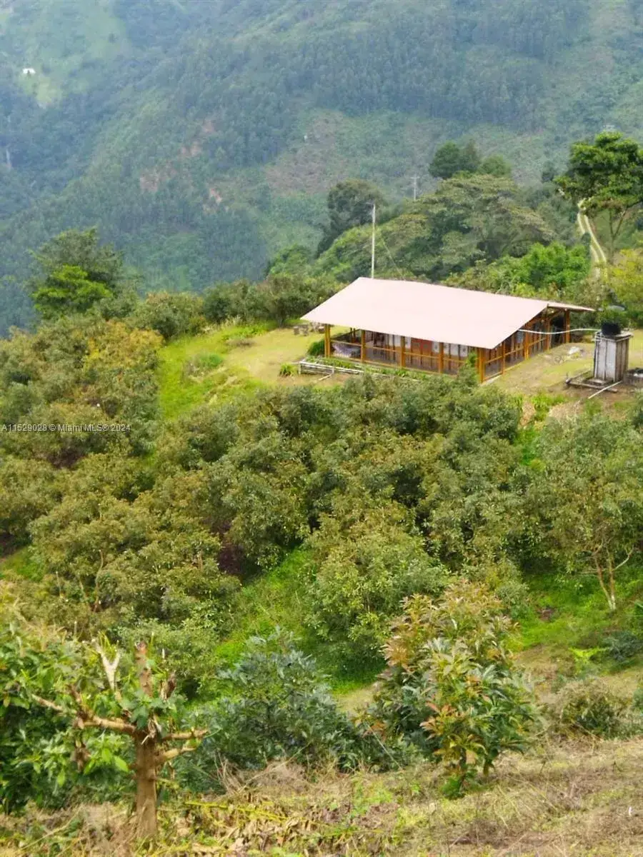 Business Opportunity for sale at Armenia-Quindio, FL