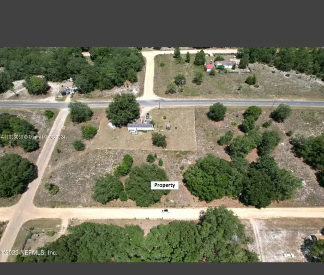 Land/Boat Docks for sale at 0 Lenore Ave, Palatka FL 32148