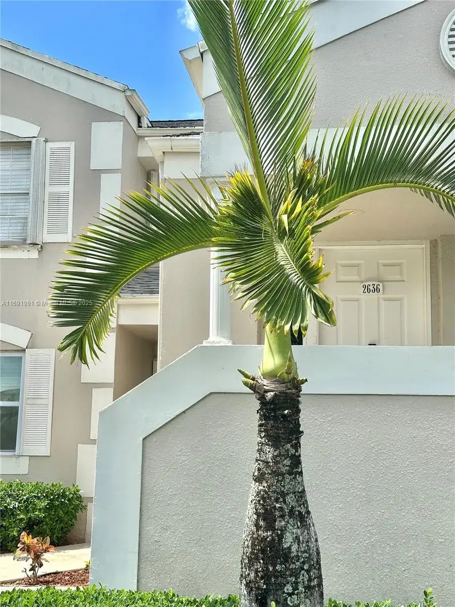 2 bedroom 2 bath Residential Lease for rent at 2636 SE 21st Ct # C, Homestead FL 33035