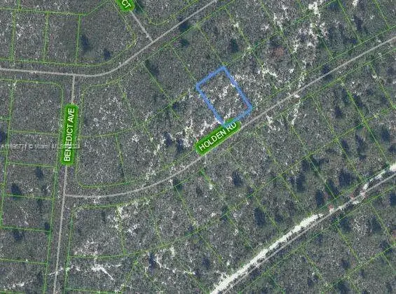 Land/Boat Docks for sale at 6552 Holden Road, Sebring FL 33872