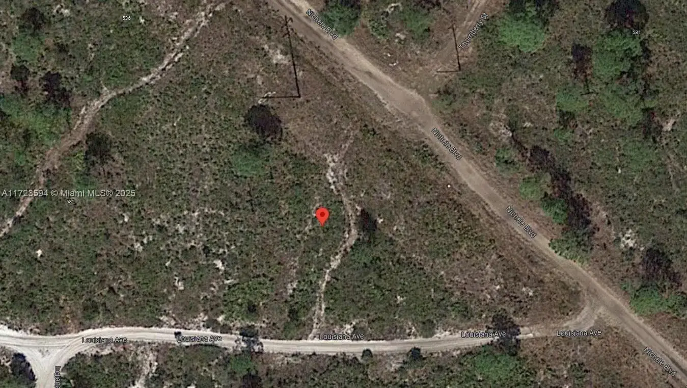 Land/Boat Docks for sale at 532 Nichele Boulevard, Lake Placid FL 33852