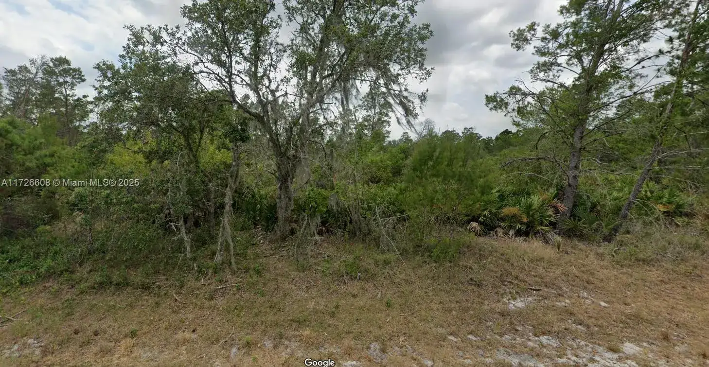Land/Boat Docks for sale at 8005 Campo Sano Street, Sebring FL 33872