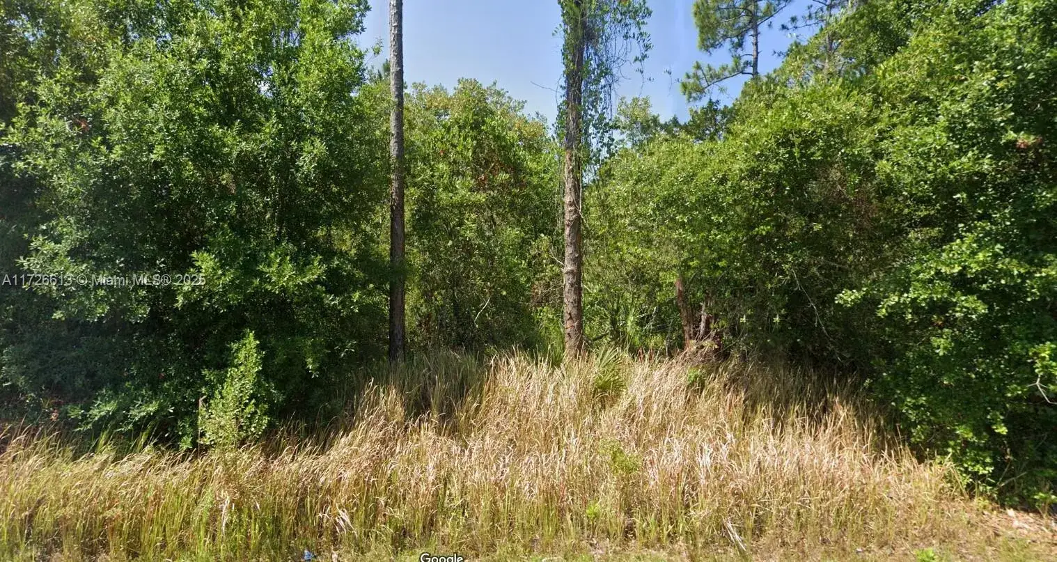 Land/Boat Docks for sale at 8637 Primavera Street, Sebring FL 33872