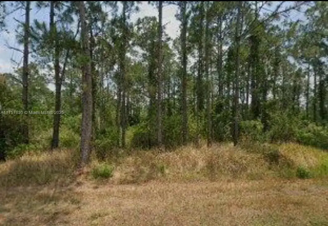 Land/Boat Docks for sale at 5112 Manati Ave., Sebring FL 33872
