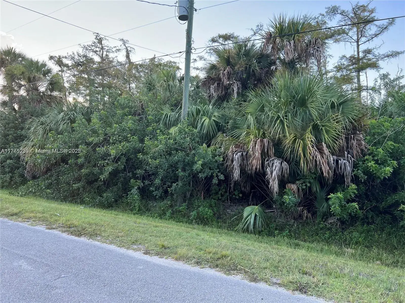 Land/Boat Docks for sale at 2521 NE 20th Avenue, Naples FL 34120