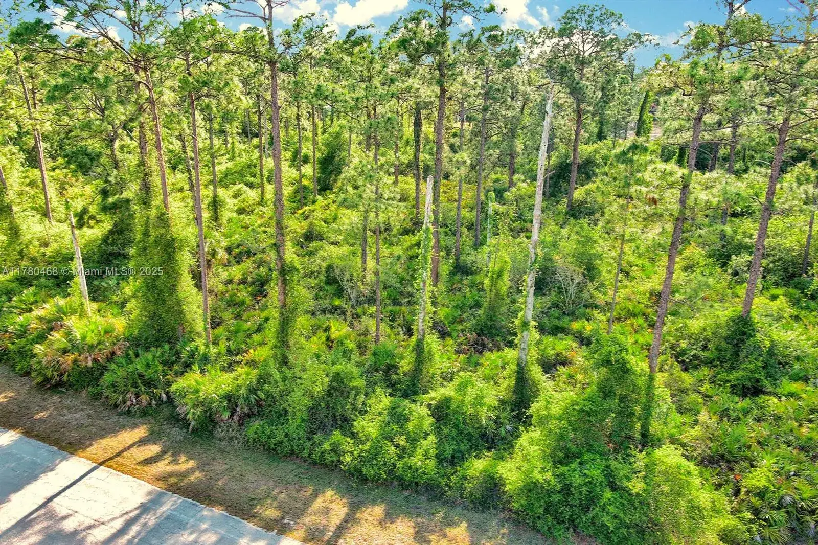 Land/Boat Docks for sale at 2019 COLUMBUS AVE, Lehigh Acres FL 33920