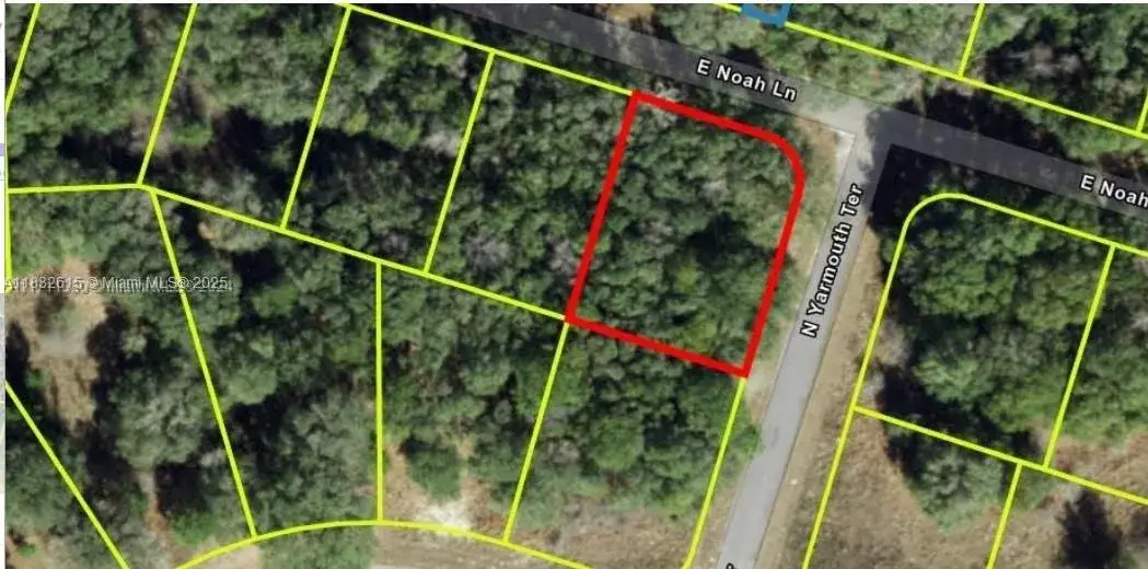 Land/Boat Docks for sale at 684 E Noah Ln, Citrus Springs FL 34434