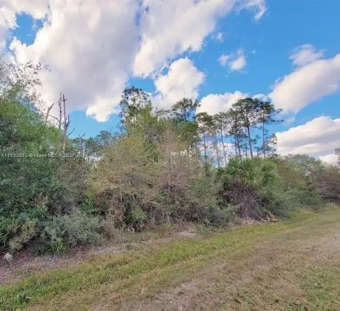 Commercial Land for sale at 305 Yeehaw Ave, Clewiston FL 33040