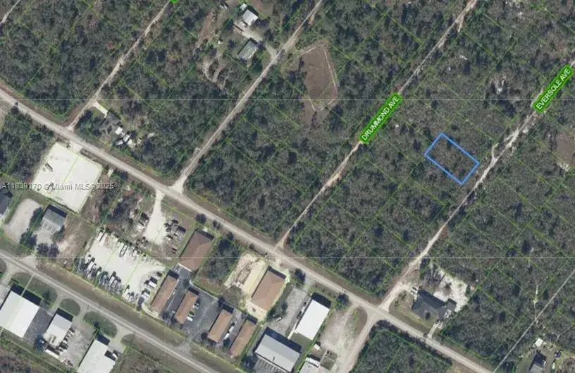 Land/Boat Docks for sale at 120 EVERSOLE AVE, Lake Placid FL 33862