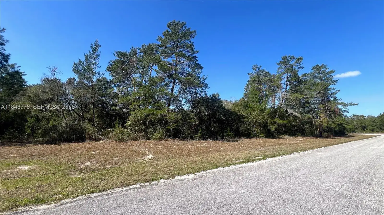 Commercial Land for sale at 32nd Cir / Marion Oaks Blvd, Ocala FL 34473