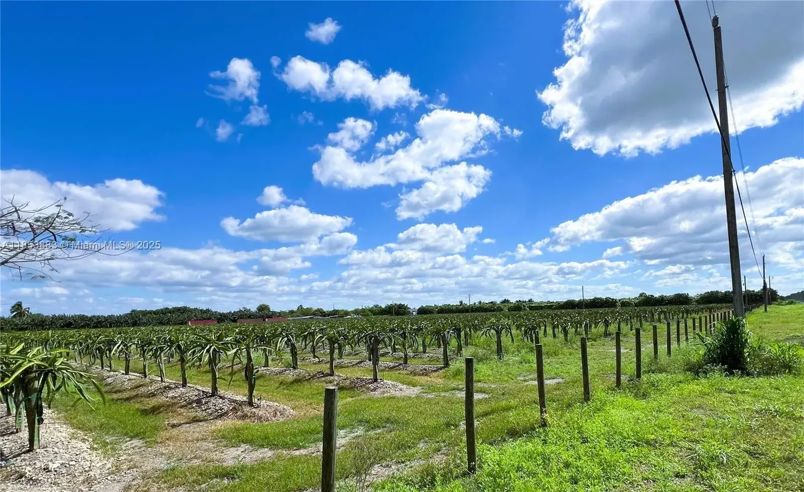 Commercial Land for sale at 152xx SW 197th Ave, Miami FL 33196