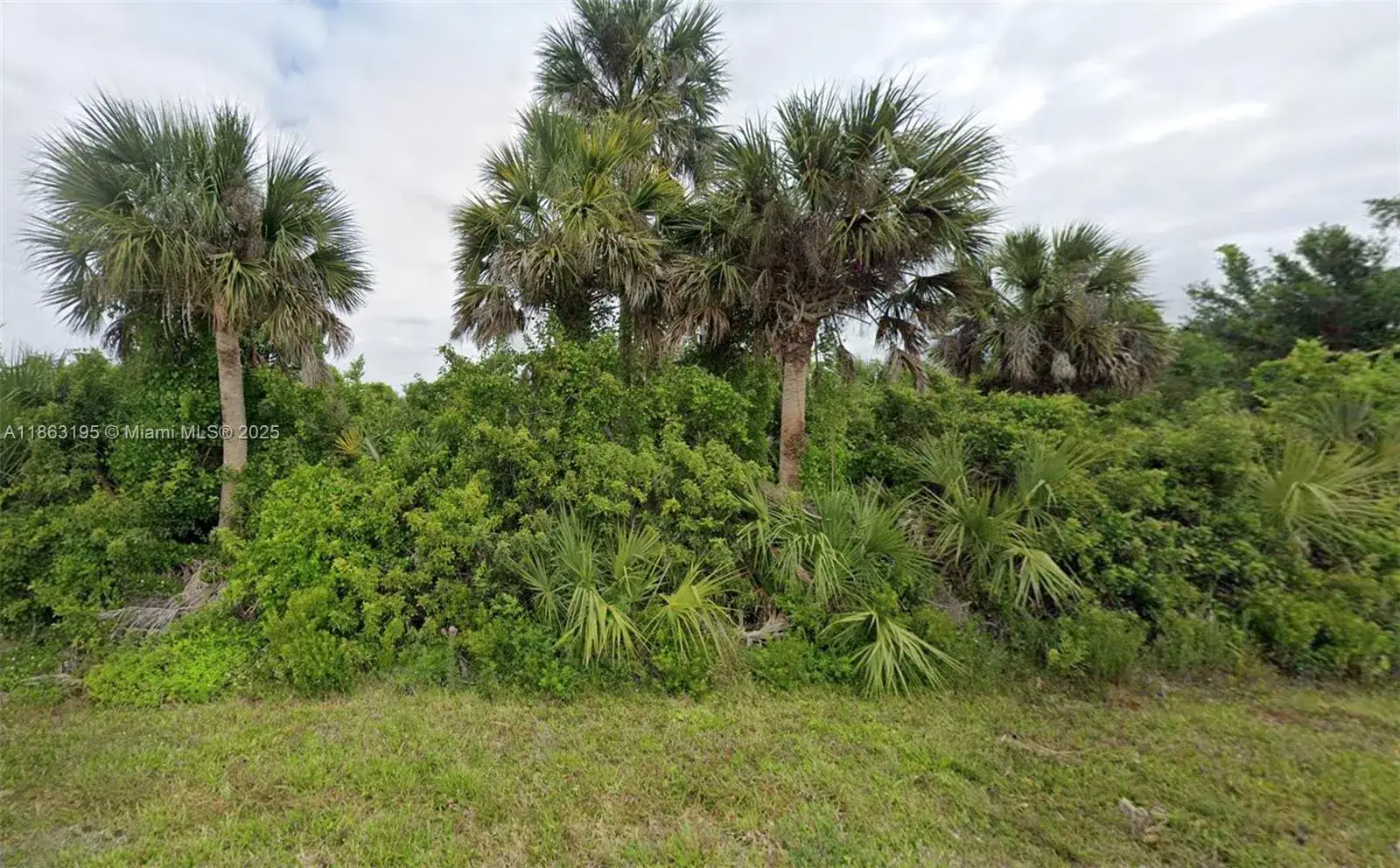 Commercial Land for sale at 12199 Grouse Ave, Port Charlotte FL 33981