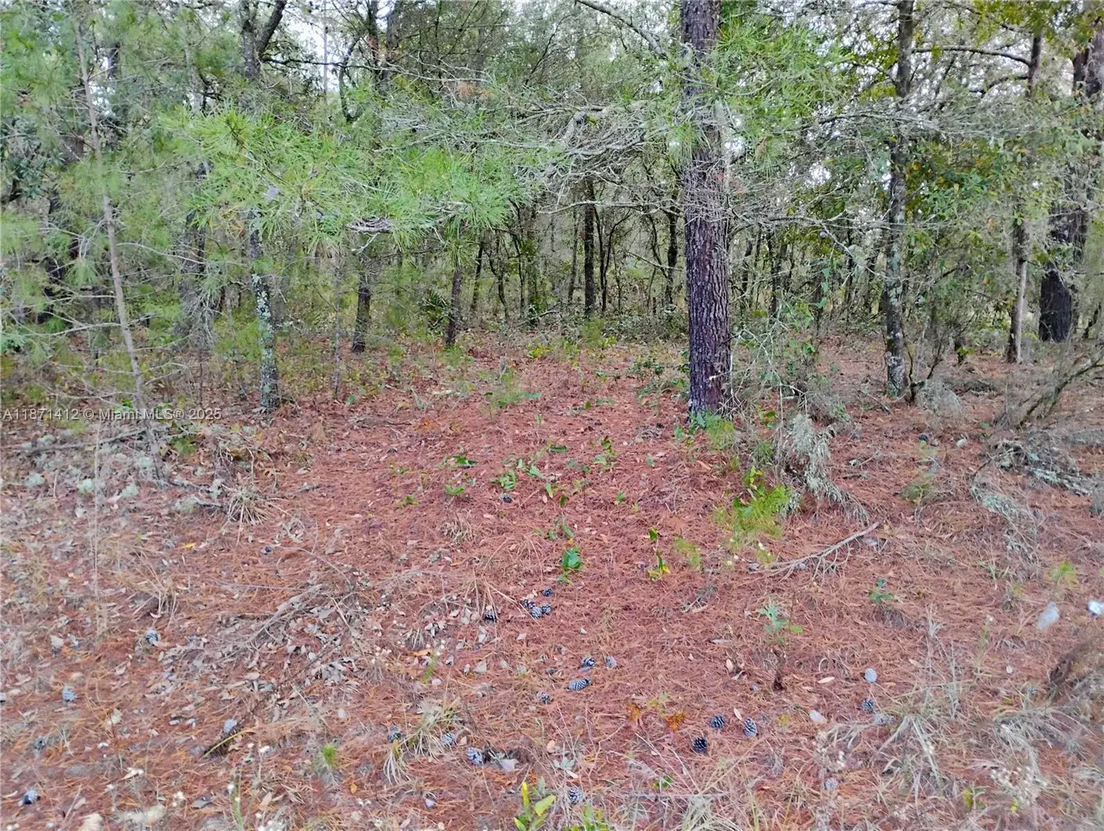 Land/Boat Docks for sale at 302 Kennedy, Palatka FL 32148