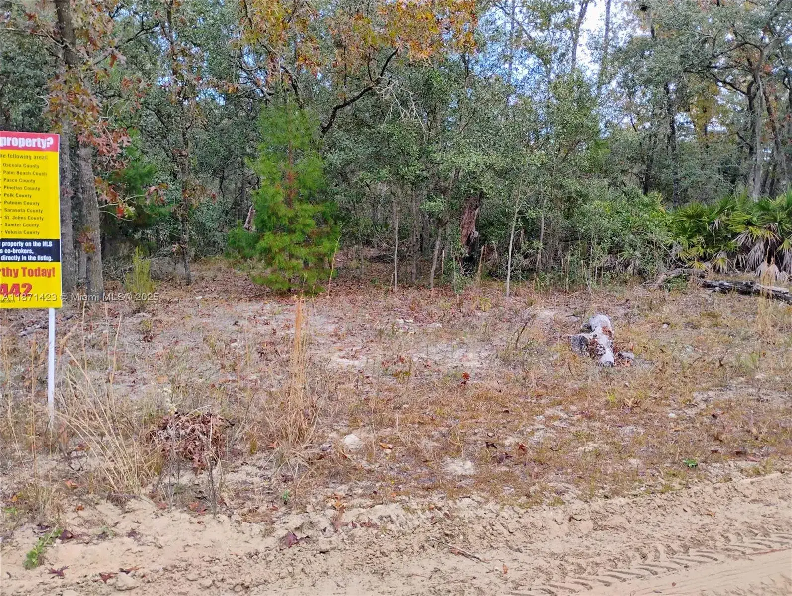 Land/Boat Docks for sale at 244 Thompson, Palatka FL 32148