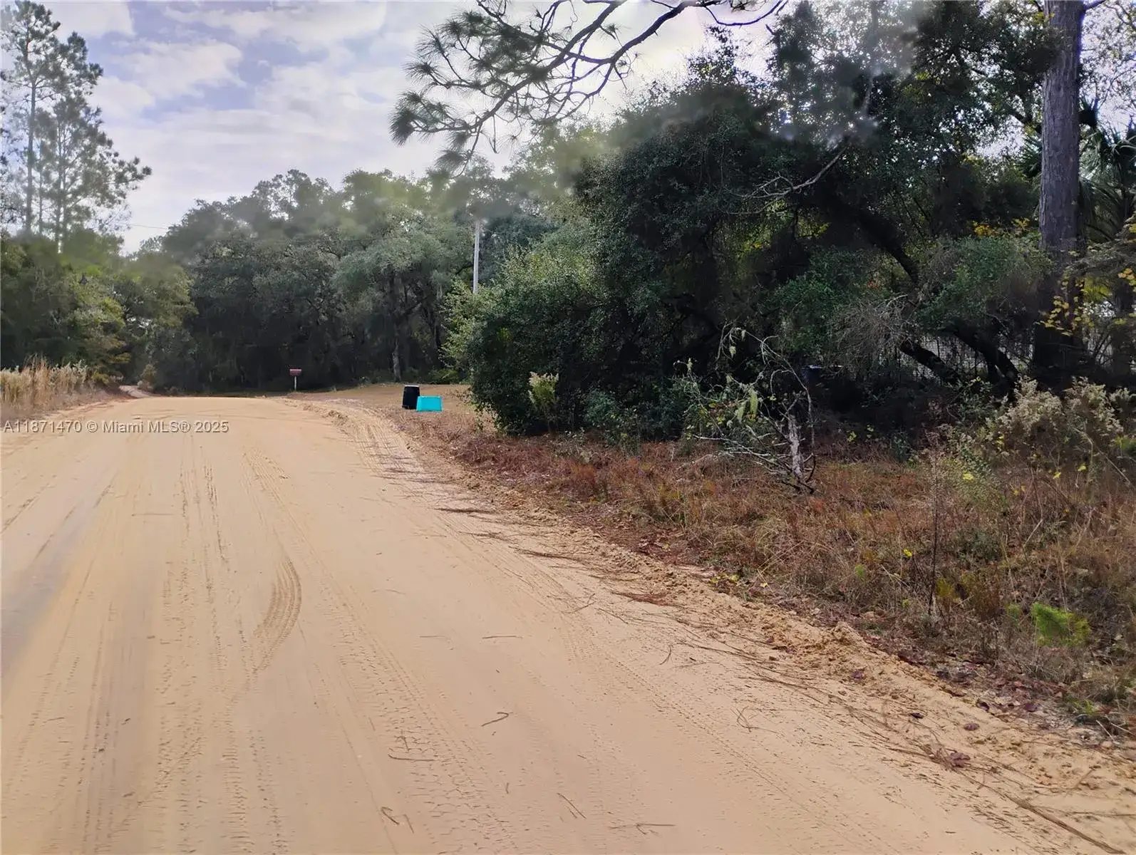 Land/Boat Docks for sale at 103 Antler, Palatka FL 32148