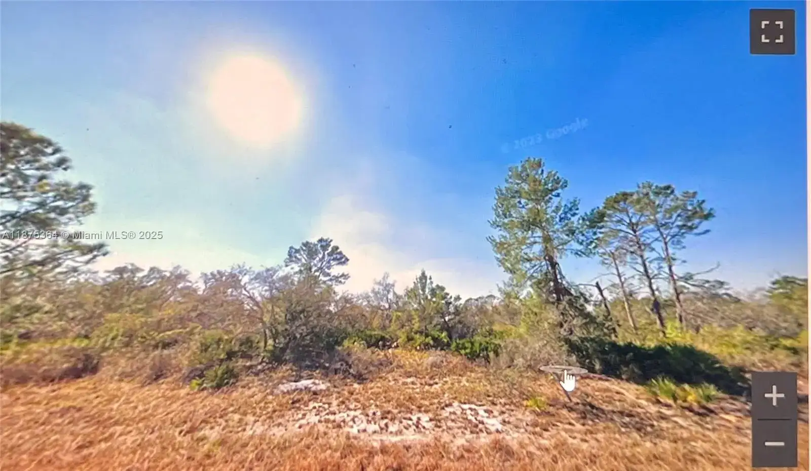1048 hackmatack, Lake Placid FL 33852