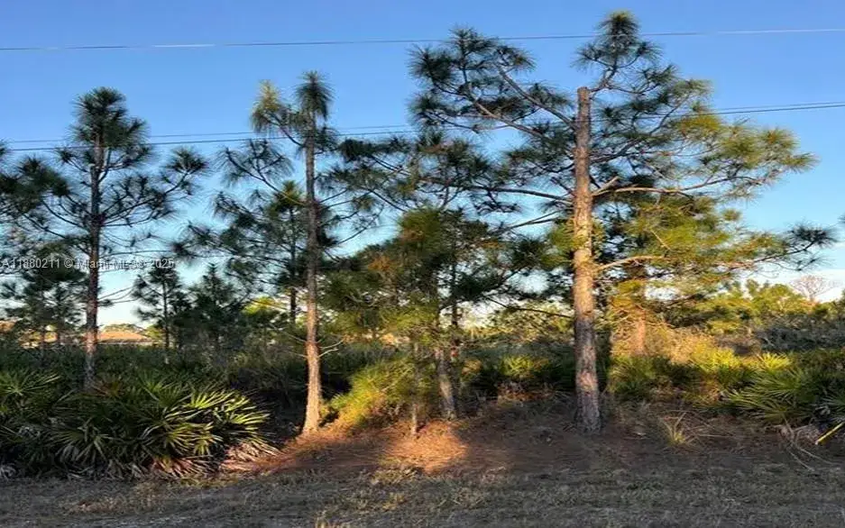 Land/Boat Docks for sale at 676 Sabrina Ct, Lehigh Acres FL 33972
