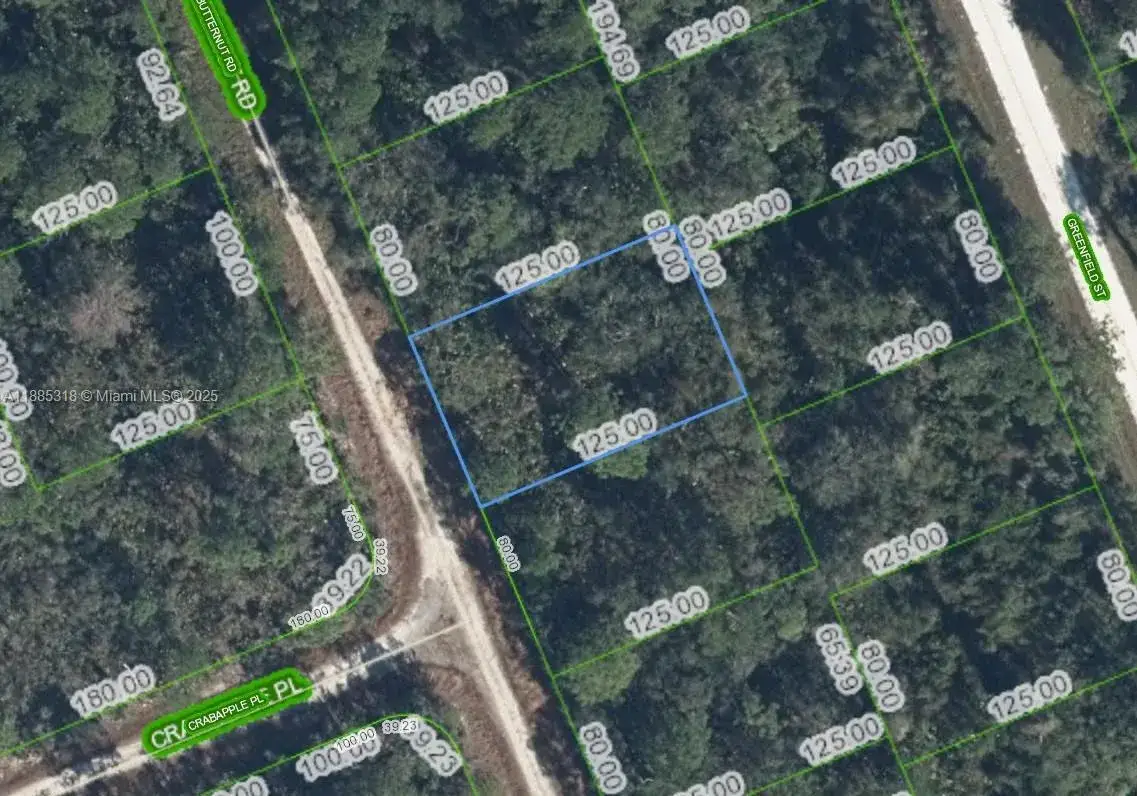 Commercial Land for sale at 1131 BUTTERNUT RD, Lake Placid FL 33852