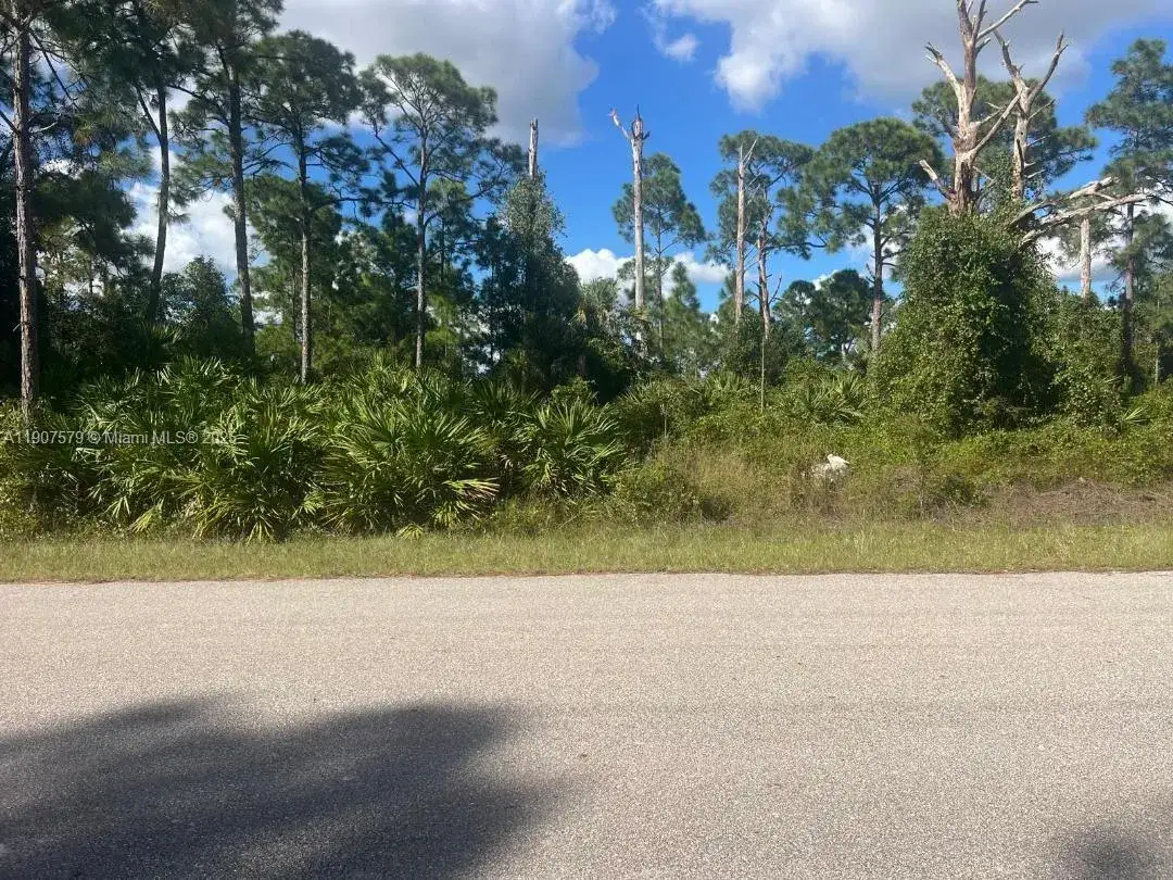 Land/Boat Docks for sale at 521 ROOSEVELT AVE, Lehigh Acres FL 33936