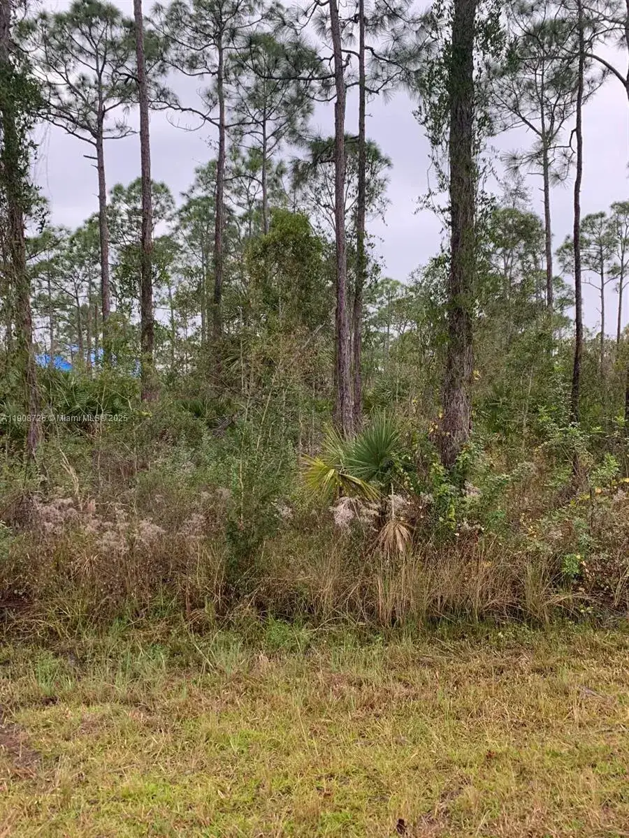 Land/Boat Docks for sale at 28338 Calais Ave, Punta Gorda FL 33955