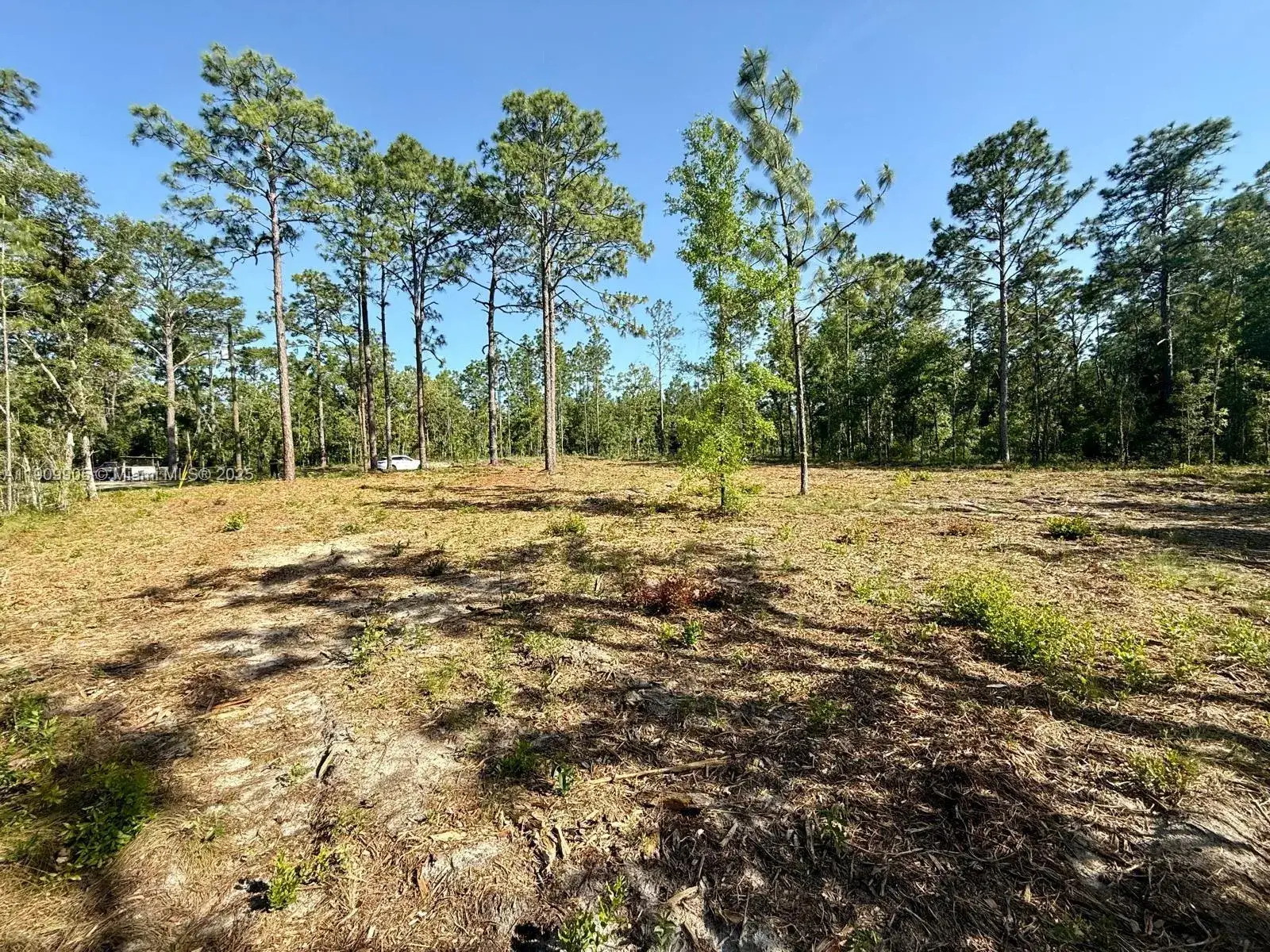 Land/Boat Docks for sale at 0 NW 157th Ave, Williston FL 32696