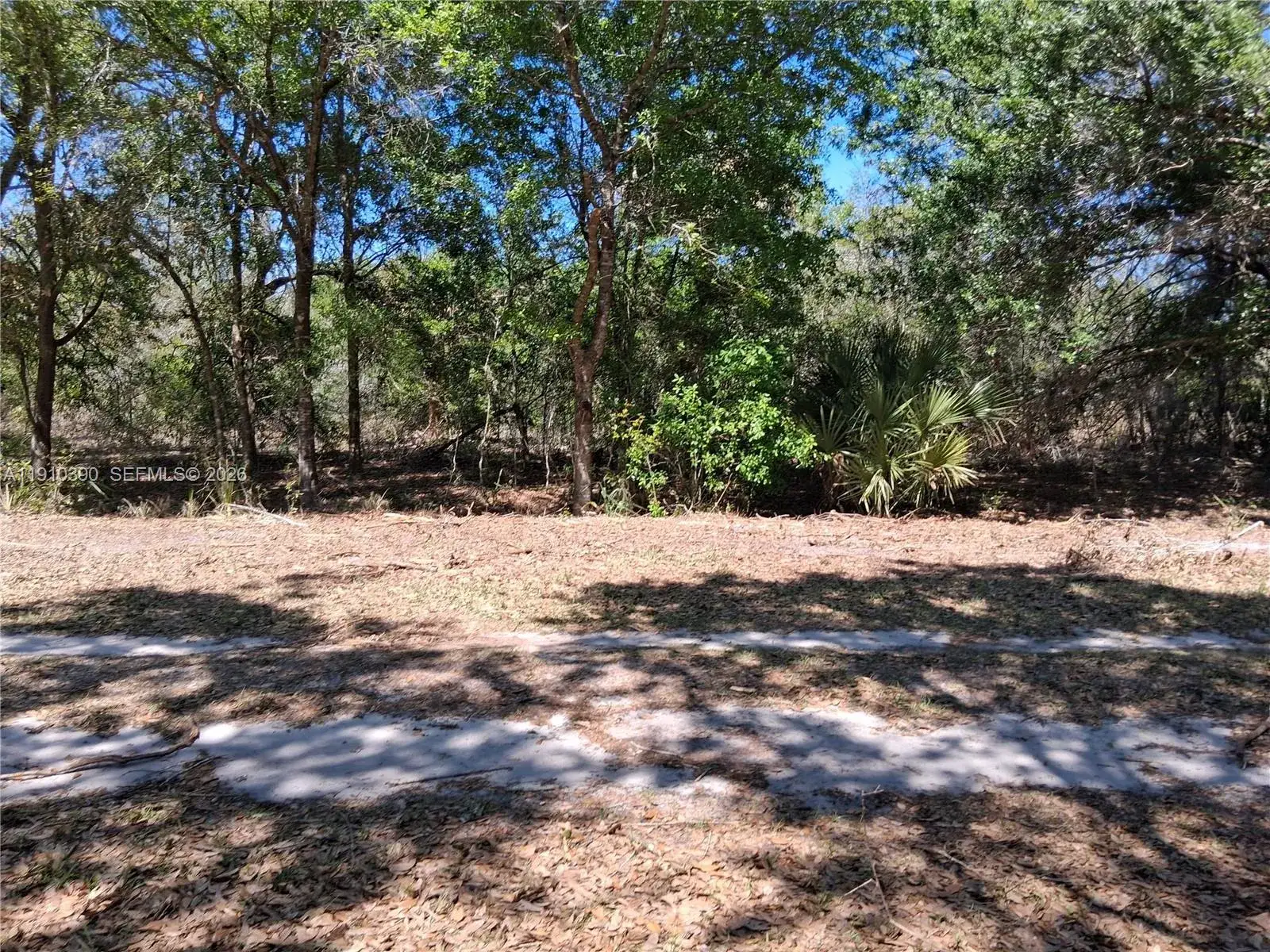 Land/Boat Docks for sale at 2822 W Yepremian Rd, Avon Park FL 33825