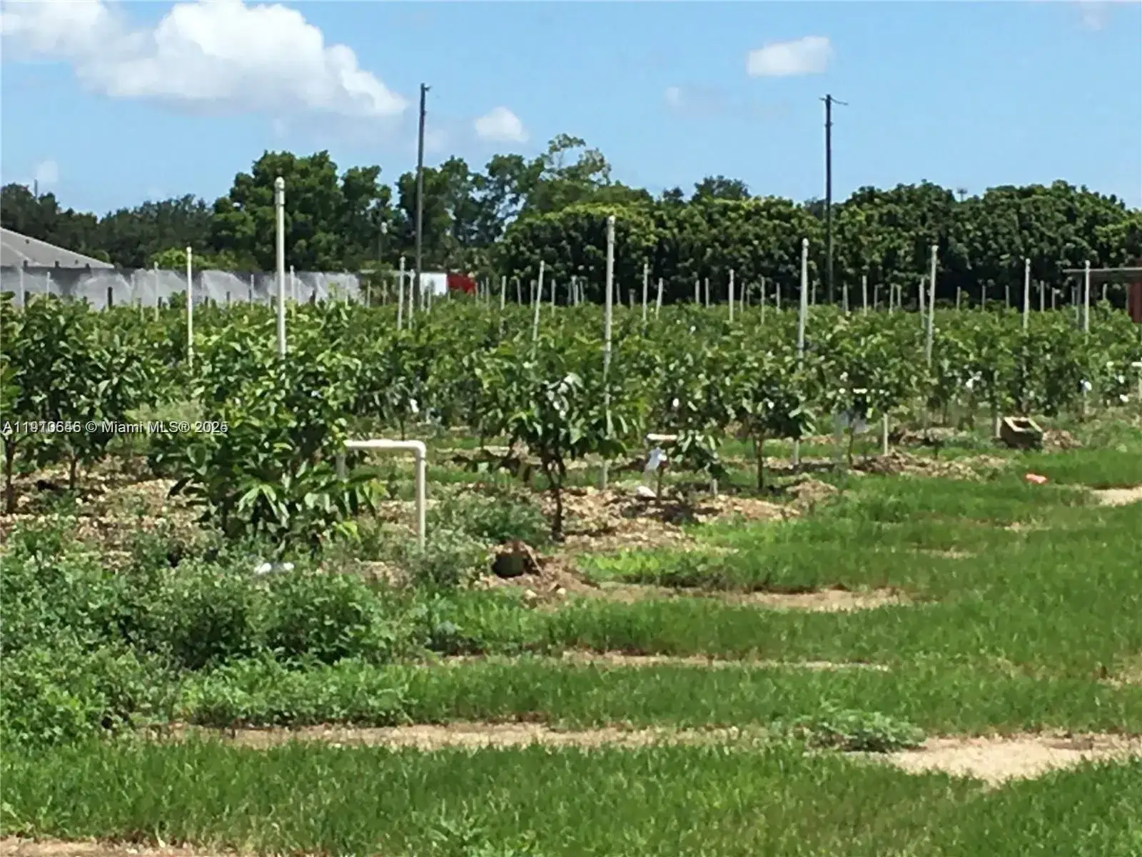 Commercial Land for sale at 15000 SW 256 ST., Homestead FL 33032