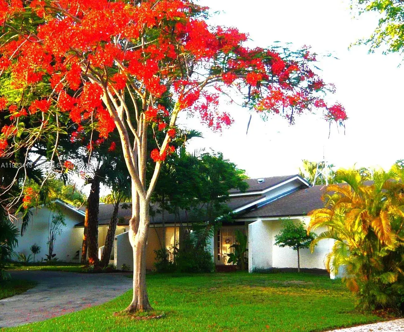 4 bedroom 3 bath Residential for sale at 17123 SW 78th Pl, Palmetto Bay FL 33157
