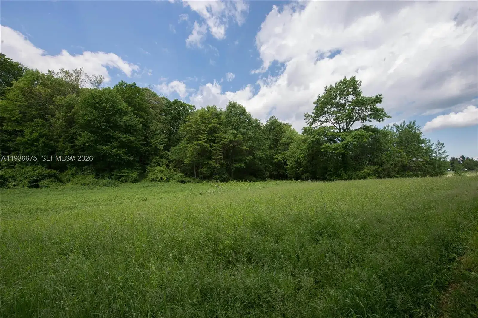 Commercial Land for sale at 15900 Ave SW 29 St, Miami FL 33185
