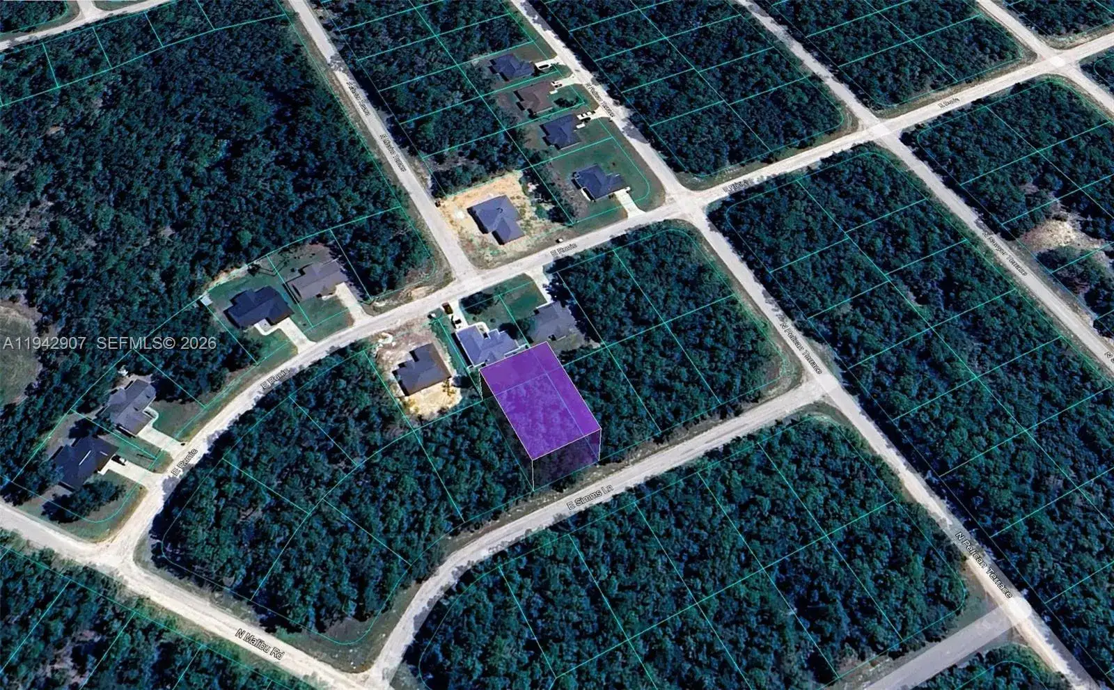 165 E Simms Lane, Citrus Springs FL 34434