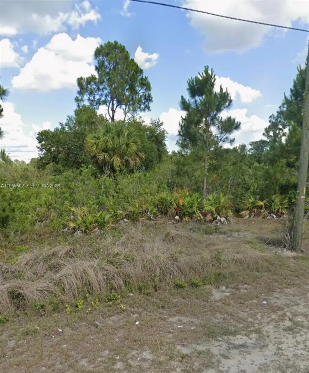 Land/Boat Docks for sale at 169 Thornton Ave S, Lehigh Acres FL 33974