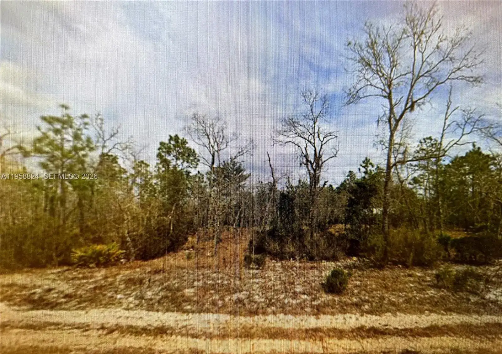 Land/Boat Docks for sale at 00 April Avenue, Palatka FL 32148