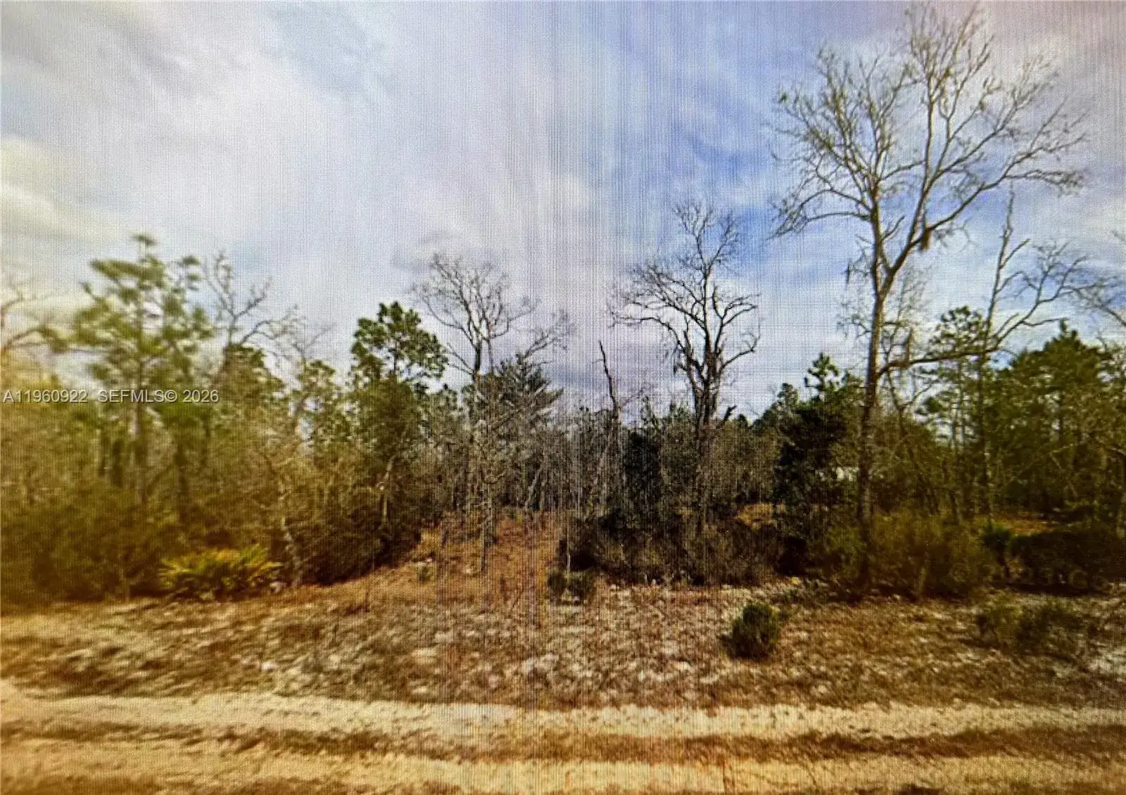 Land/Boat Docks for sale at 00 Hudson St, Palatka FL 32148