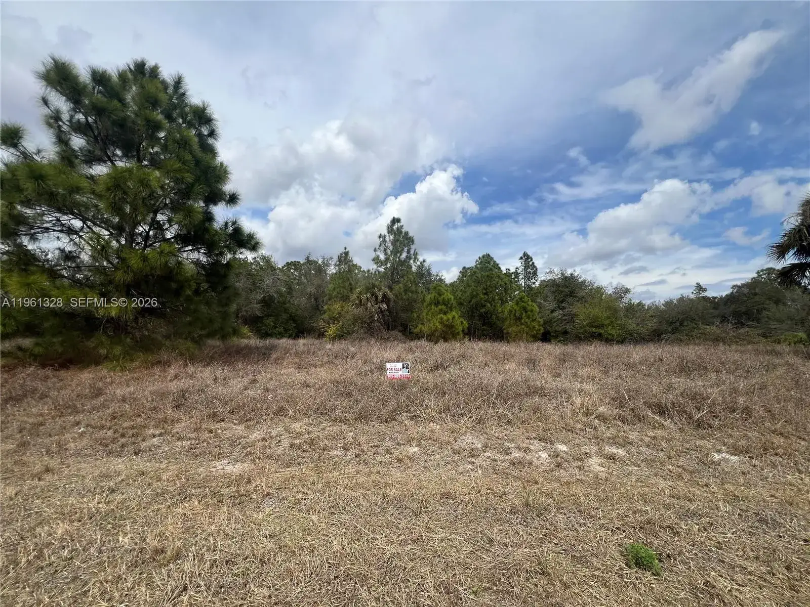 Land/Boat Docks for sale at 2805 E 16 St, Lehigh Acres FL 33972