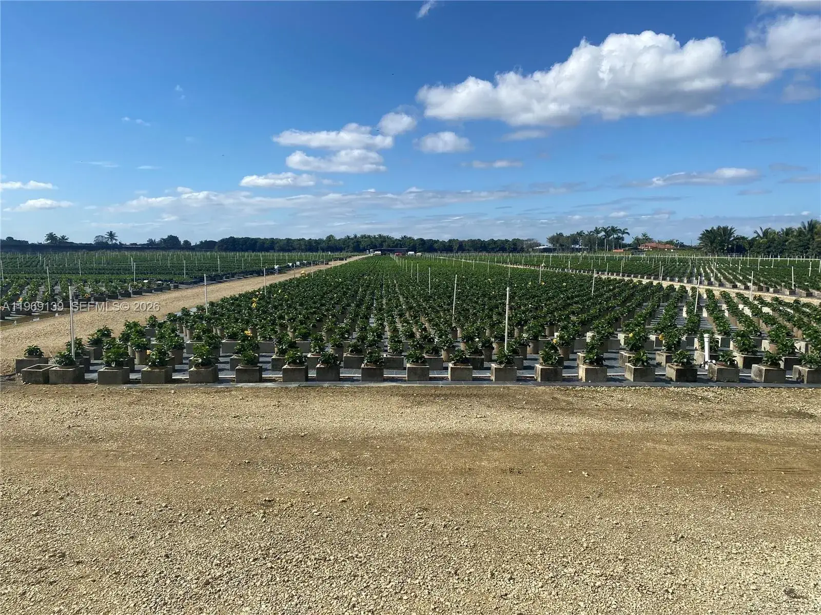 Commercial Land for sale at RICHARD ROAD, Homestead FL 33031