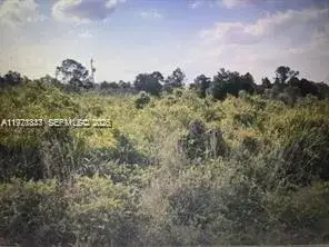 Land/Boat Docks for sale at 330 Hermosa ave, Lehigh Acres FL 33974
