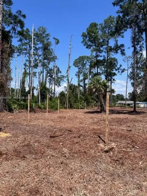 Land/Boat Docks for sale at 718 Columbus Avenue, Lehigh Acres FL 33972