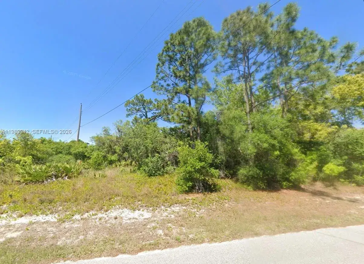 Land/Boat Docks for sale at 235 Deerwalk Ave, Lake Placid FL 33852