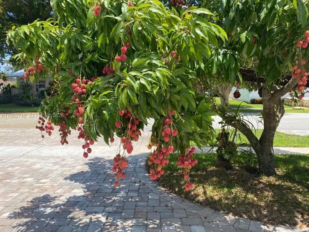 3 bedroom 3 bath Residential Lease for rent at 1251 SW 11th Ter, Boca Raton FL 33486