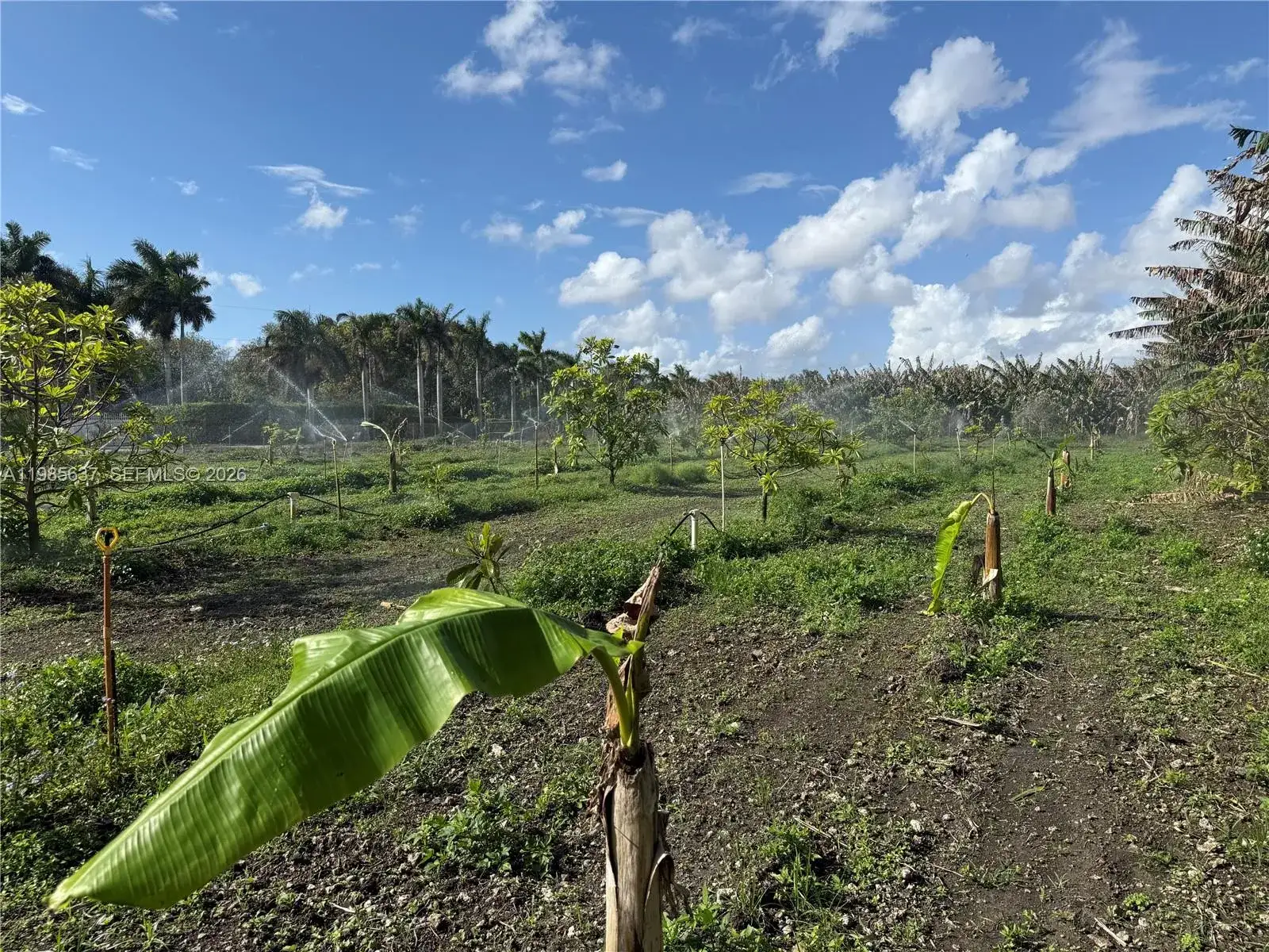 Commercial Land for sale at 16455 SW 207, Homestead FL 33187