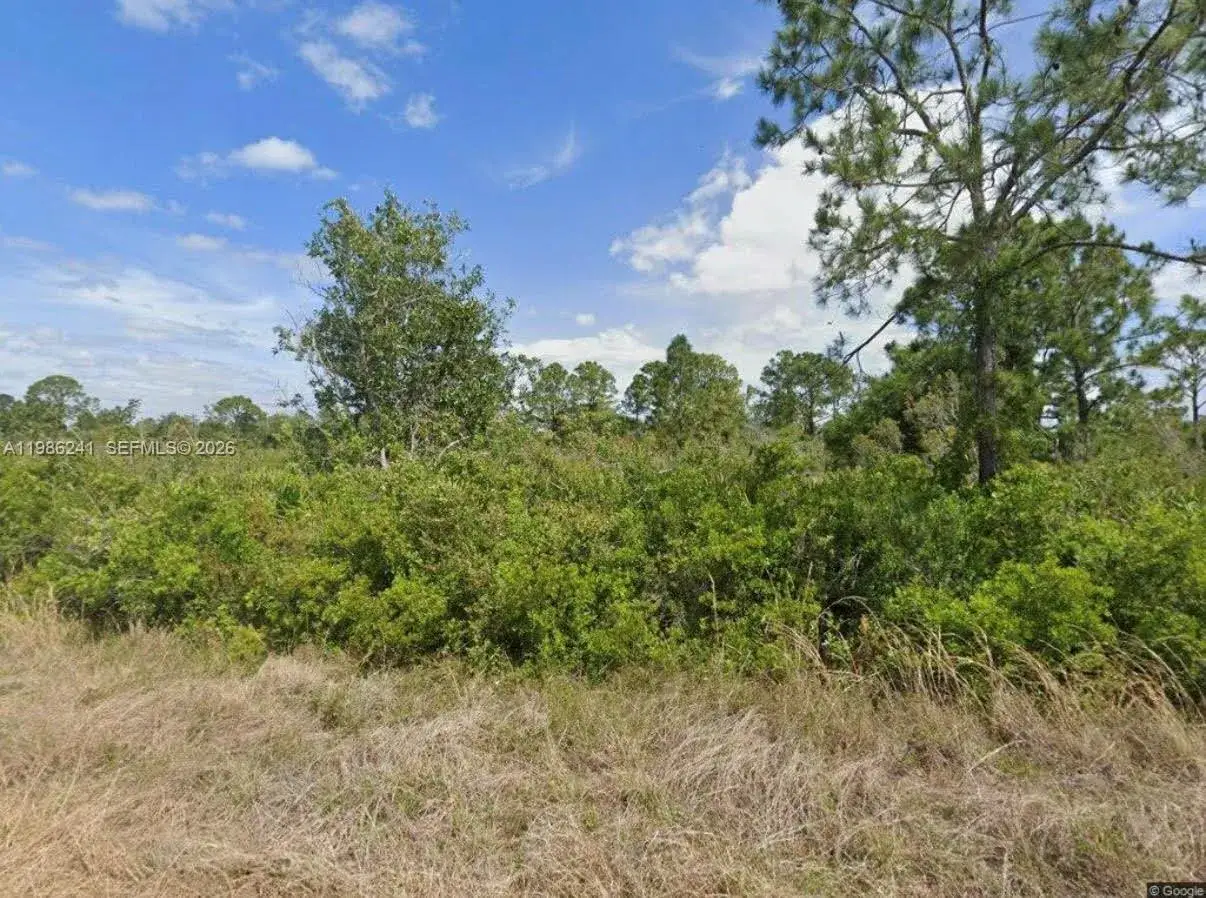 Land/Boat Docks for sale at 1081 BEAVER ST, Lake Placid FL 33852