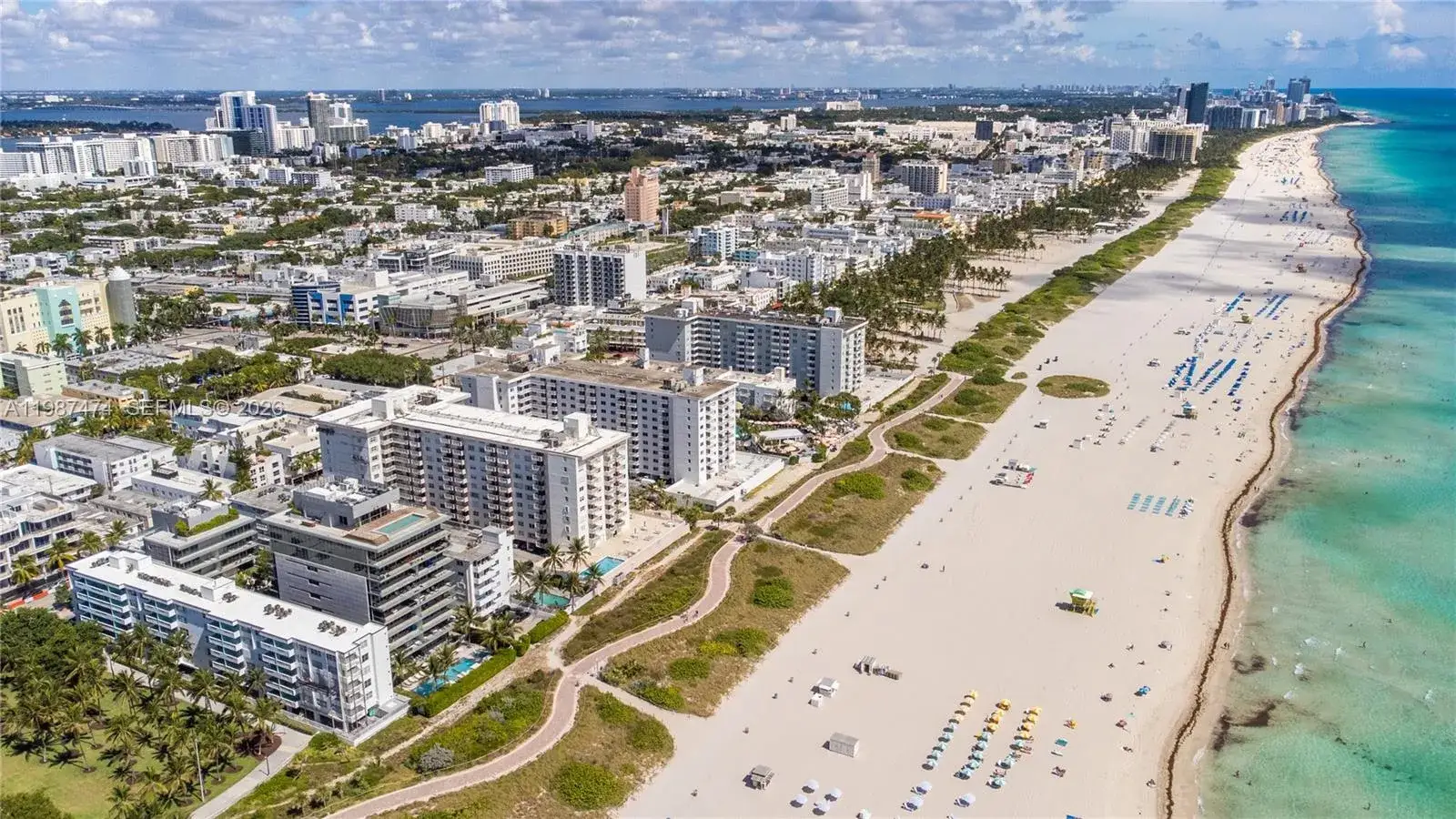 1 bedroom 1 bath Residential Lease for rent at 345 Ocean Dr # 607, Miami Beach FL 33139