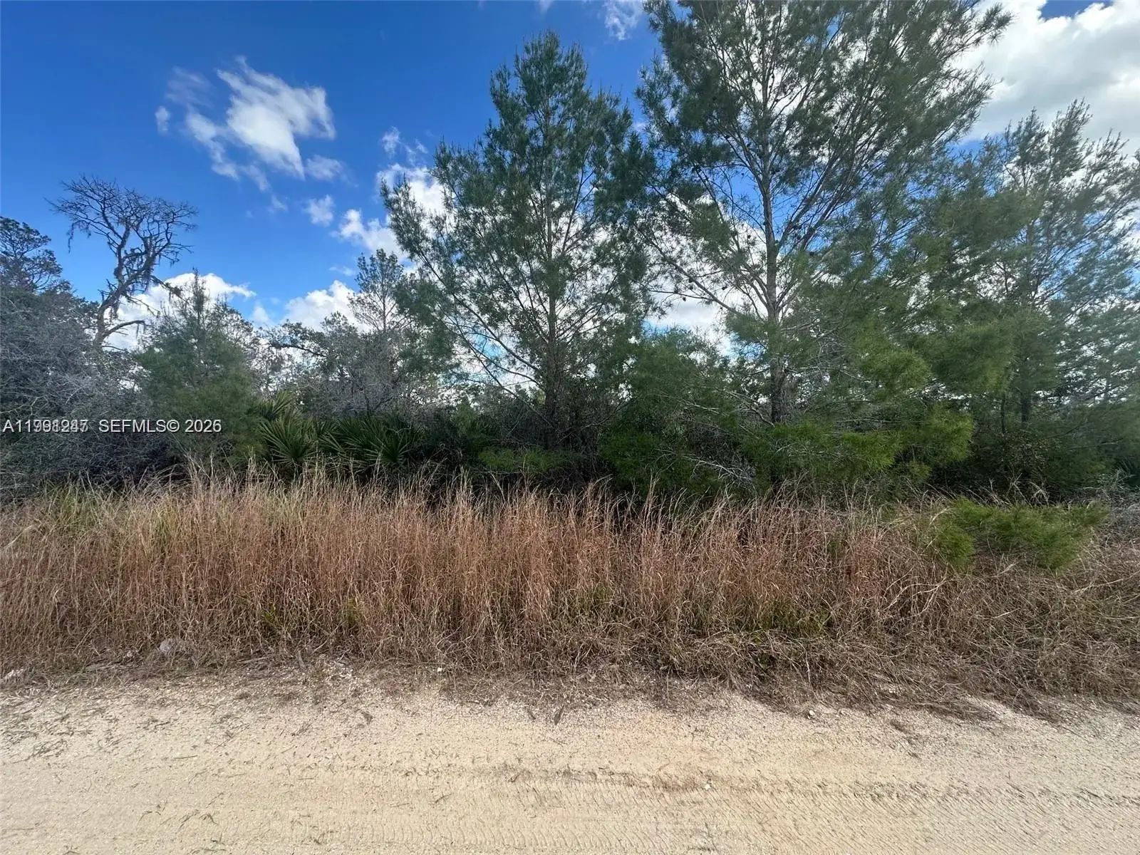 Land/Boat Docks for sale at 123 DARTMOOR AVE, Lake Placid FL 33852