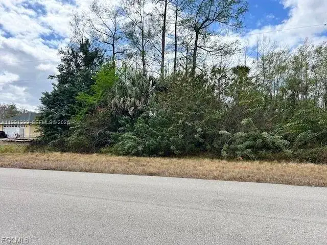 Land/Boat Docks for sale at 459 GREENBRIAR BLVD, Lehigh Acres FL 33972